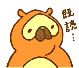 Everyday of raccoon dog sticker #12860483