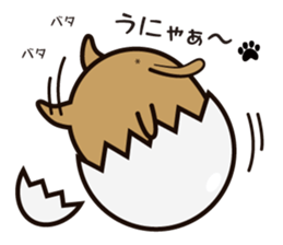 cat-egg sticker #12861822
