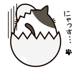cat-egg sticker #12861848