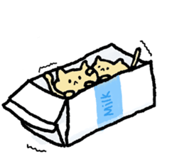 Cat and Java sparrow(buncho). sticker #12862588