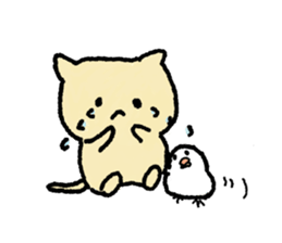 Cat and Java sparrow(buncho). sticker #12862608