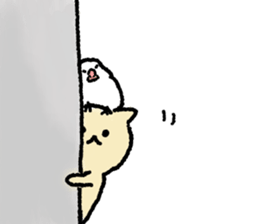 Cat and Java sparrow(buncho). sticker #12862611