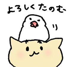 Cat and Java sparrow(buncho). sticker #12862612