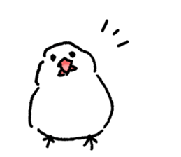 Cat and Java sparrow(buncho). sticker #12862619