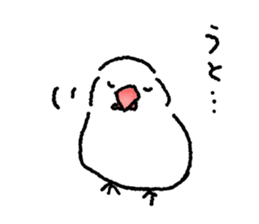 Cat and Java sparrow(buncho). sticker #12862620