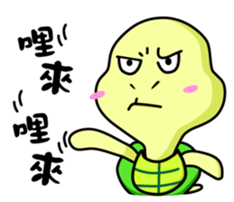 Vitality turtle adventure every day sticker #12863605