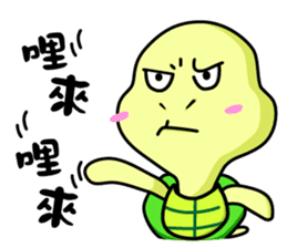 Vitality turtle adventure every day sticker #12863605