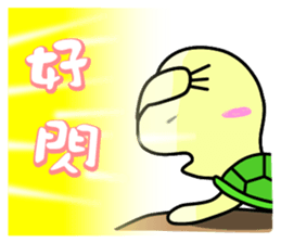 Vitality turtle adventure every day sticker #12863606