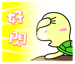Vitality turtle adventure every day sticker #12863606