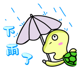 Vitality turtle adventure every day sticker #12863607