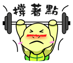 Vitality turtle adventure every day sticker #12863611