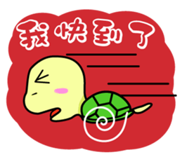 Vitality turtle adventure every day sticker #12863616