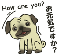 Puggy Pug Maruu sticker #12870008
