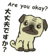Puggy Pug Maruu sticker #12870009