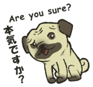 Puggy Pug Maruu sticker #12870012