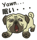Puggy Pug Maruu sticker #12870014