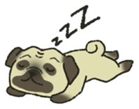 Puggy Pug Maruu sticker #12870017
