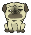 Puggy Pug Maruu sticker #12870019