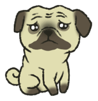 Puggy Pug Maruu sticker #12870022