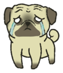 Puggy Pug Maruu sticker #12870023