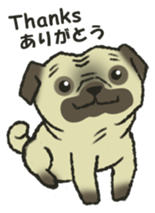 Puggy Pug Maruu sticker #12870029