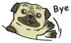 Puggy Pug Maruu sticker #12870030