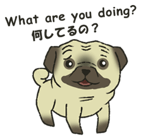 Puggy Pug Maruu sticker #12870031