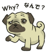 Puggy Pug Maruu sticker #12870033