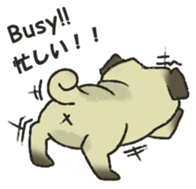 Puggy Pug Maruu sticker #12870034