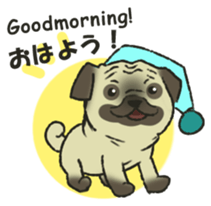 Puggy Pug Maruu sticker #12870035