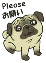 Puggy Pug Maruu sticker #12870037