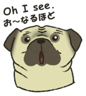 Puggy Pug Maruu sticker #12870038