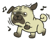 Puggy Pug Maruu sticker #12870044