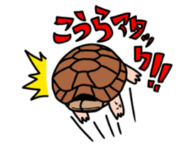JAYRO -LITTLE TURTLE- sticker #12872122