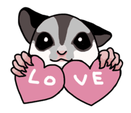 UG's Sugar Glider Sticker in English sticker #12874163