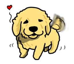 My lovely dog is Golden Retriever sticker #12874822
