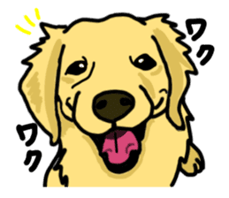 My lovely dog is Golden Retriever sticker #12874827