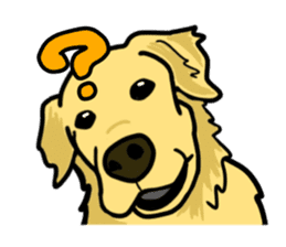 My lovely dog is Golden Retriever sticker #12874832