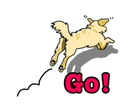 My lovely dog is Golden Retriever sticker #12874835