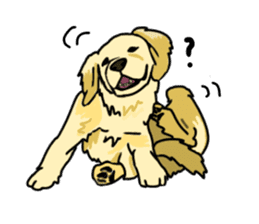 My lovely dog is Golden Retriever sticker #12874838