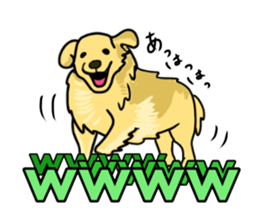 My lovely dog is Golden Retriever sticker #12874839