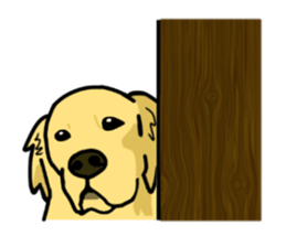 My lovely dog is Golden Retriever sticker #12874840