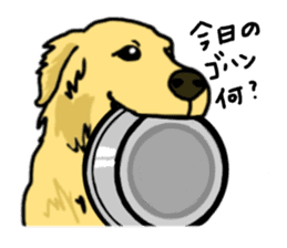 My lovely dog is Golden Retriever sticker #12874841