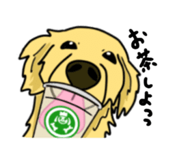 My lovely dog is Golden Retriever sticker #12874842