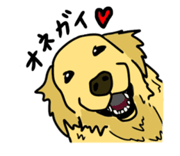 My lovely dog is Golden Retriever sticker #12874847