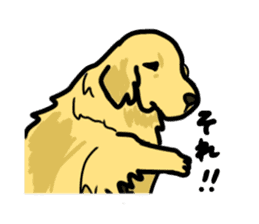 My lovely dog is Golden Retriever sticker #12874851