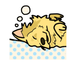 My lovely dog is Golden Retriever sticker #12874853