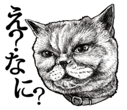 Drawing a merci cat sticker #12874983