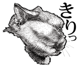 Drawing a merci cat sticker #12874988