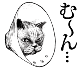 Drawing a merci cat sticker #12874989